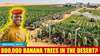 Ibrahim Traoré’s Controversial 2026 Project: 800,000 Banana Trees in the Desert – Genius or Madness?
