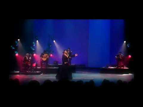 Mafalda Arnauth - Tinta Verde