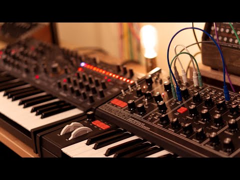 Matriarch vs. Pro 3 - Which paraphonic synth should you buy?
