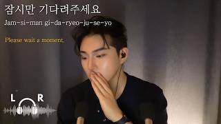 Arriving in Korea? Korean Airport Phrases to Hear First | ASMR
