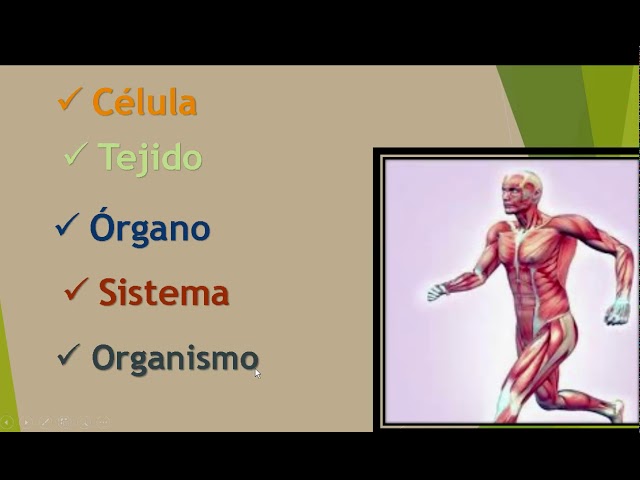 Vídeo relacionado con Conocimiento del Medio 4. (Operación Mundo)