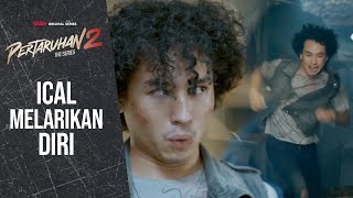 Download lagu ICAL MENANGIS MELIHAT AMAR | Pertaruhan The Series 2 mp3 Download lagu ICAL MENANGIS MELIHAT AMAR | Pertaruhan The Series 2 mp3