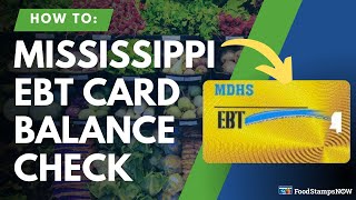 Mississippi EBT Balance Check Instructions