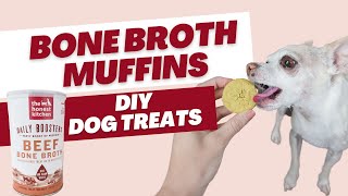 Bone Broth Muffins: Dog Treat Recipe | Proud Dog Mom