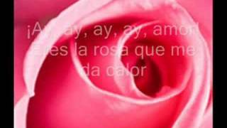 Juan Luis Guerra: TE REGALO UNA ROSA letra mix