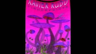 Xavier Rudd -- Native eye