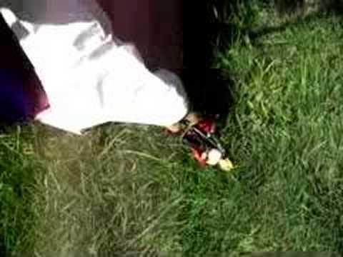 Final Fantasy Cosplay (Yuna Vs. Vash the stampede)