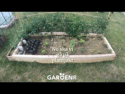 Bygg din plantskola - Trädgårdshacks med GardenR
