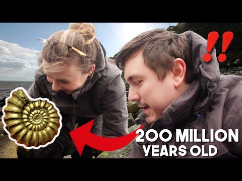 我在英國侏羅紀海岸獵取化石？ (I Went FOSSIL Hunting on the Jurassic Coast of England ??)