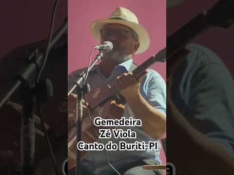 Zé Viola canta uma gemedeira- Canto do Buriti-PI
