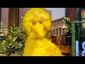 Episode 3824 Ending But Big Bird Has Embarrassment S Voice