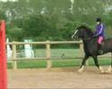 Horse riding Mistakes 