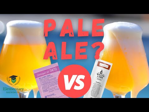 Pale Ale - Split Batch Lager vs. Ale Yeast Experiment - Fermenting in a Keg