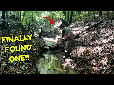 I'm SHOCKED! Ghost Town Treasure Hunters unearth Bucket List relic!