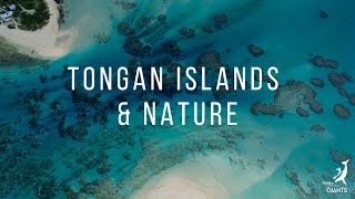 preview picture of video 'Tongan Islands and Nature - swim with gentle giants www.swimmingwithgentlegiants.com'