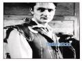 Tindersticks Vertrauen 2