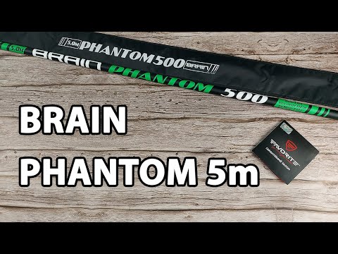 Вудлище Brain Phantom 5m