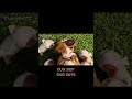 Evolution Of Dug Up Una Aventura En Altura
