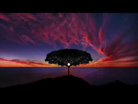 Roel Funcken - Bueford Nepom