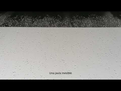 Martxel - La Jaula (Lyric Video) (Prod. By Don Choppa Beats)