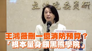[討論] 王鴻薇：消防署保證不會讓「黑熊」 未刪