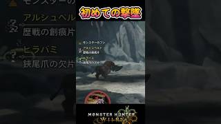 MHwildsのおもひで「初めての撃墜」