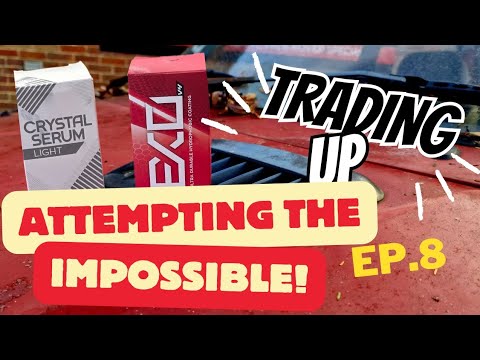 Can Ceramic Coatings Save My Paint? - Trading Up MG/Rover Edition (Ep.8)