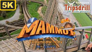 Mammut
