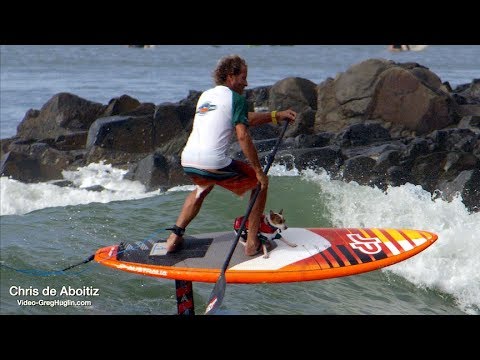 Chris De Aboitiz-surfing dogs-Noosa Festival Of Surfing