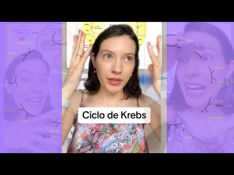 Respiração Celular e Ciclo de Krebs: Entenda Tudo para o ENEM 2024