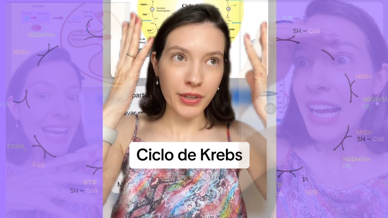 Respiração Celular e Ciclo de Krebs: Entenda Tudo para o ENEM 2024