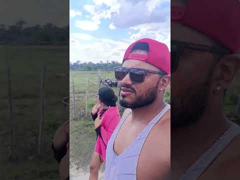 MARANHÃO RIO BURITI 2026 #maranhao #nature #braziliannature #brazil #shorts