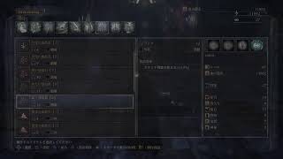 脳筋極振り&全ボス撃破目指します　11