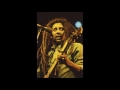 Bob Marley Natural Mystic Brighton Leisure Centre 08 07 1980 HQ Soundboard Short Clip