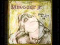Dinosaur Jr. - Poledo