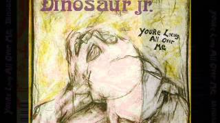 Dinosaur Jr. - Poledo