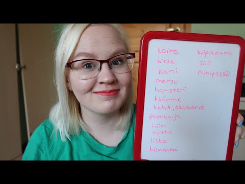 Finnish lesson 16: Pets