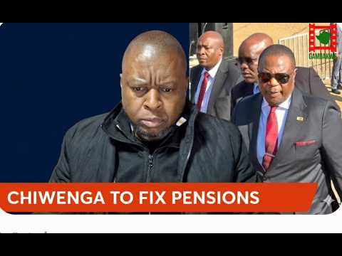 Vice President Constantino Chiwenga addressing a crowd in Harare
