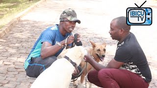 Nkoresha imbwa siporo || Nkazitoza umuco || Ni akazi nishimiye kandi kantunze Nkoresha imbwa siporo || Nkazitoza umuco || Ni akazi nishimiye kandi kantunze