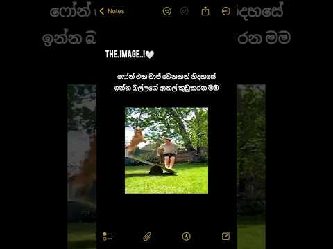 #djremix #theimage #funnyshorts #nonstop #srilanka #foryou