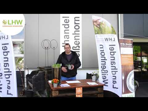 Feldtag 2021 des LHW - 5. Sommergerste (5/7)