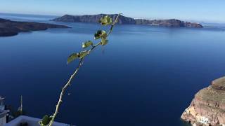 A sleepy cat in Santorini Island／サントリーニ島で出会った眠い猫ちゃん