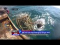 Surga Liburan Keindahan Laut Sumba NET12