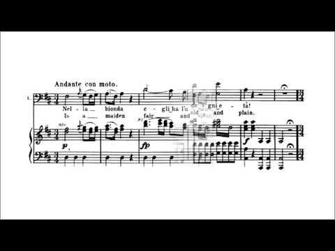 Karaoke Opera: Madamina - Don Giovanni (Mozart) Orchestral only version