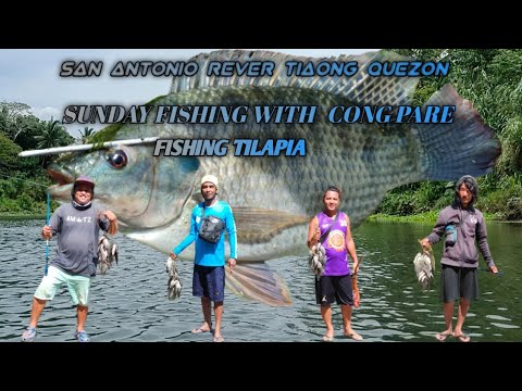 Ep: 01 | San Antonio Tiaong Quezon Sunday Fishing With Cong   Pare | Fishing Tilapia