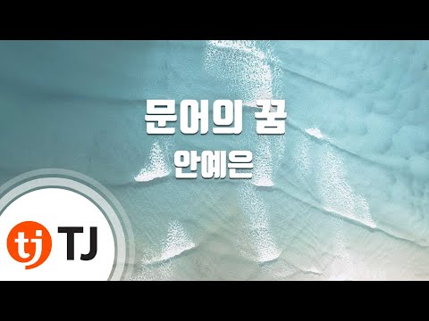[TJ노래방] 문어의꿈 - 안예은 / TJ Karaoke