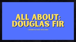 All about - The Douglas Fir Tree