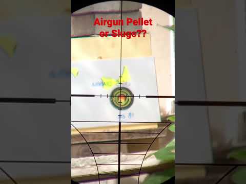 Pellet or Slugs??
