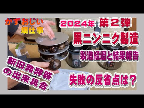 黒にんにく:発酵はこうなる 植物