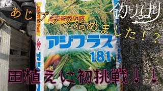 田植え始めました！？ついに海から丘へ？【釣りっぱり】